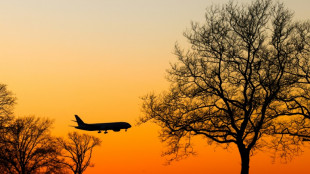 EEUU sanciona a un ejecutivo de una aerolínea que facilita la migración irregular