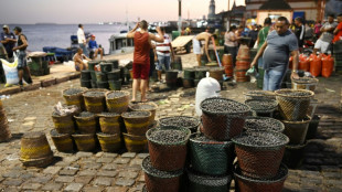 Açaí, o fruto amazônico que conquistou o mundo