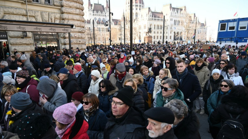 Thousands join Hungarians judges' rally