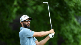 Hadwin grabs US Open lead with birdie run