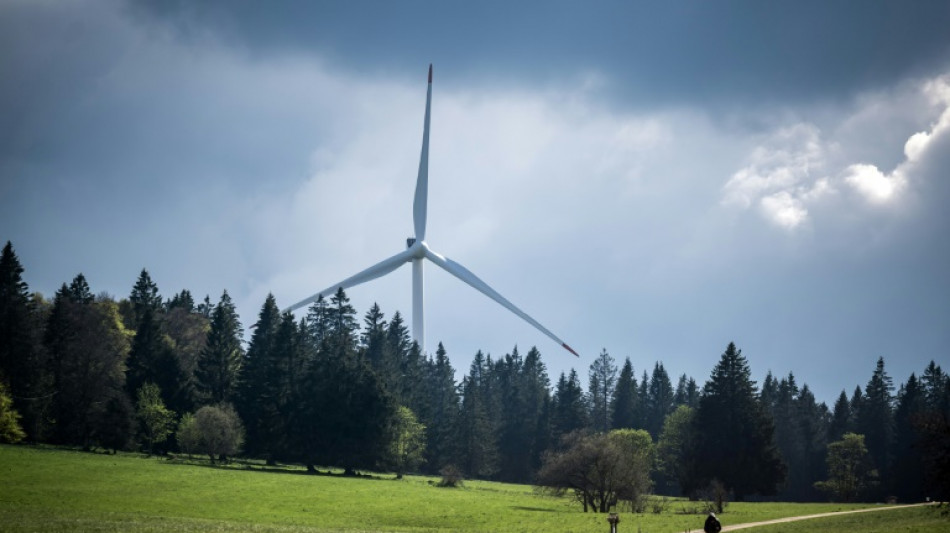 Swiss vote to boost renewable energy: polling institute