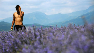 Squeezed out: Bulgaria lavender oil makers fear EU laws