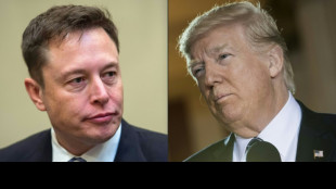 A Musk-owned Twitter opens door to potential Trump return