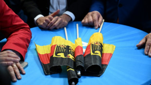 Auszählung bei deutscher EU-Wahl beendet: Union siegt im Westen, AfD im Osten