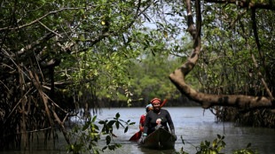 A batalha vitoriosa de negros e indígenas para conservar seu paraíso no Pacífico colombiano