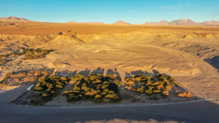 Soleil, aridité, altitude... le désert d'Atacama dans un verre de vin