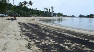 Singapore's Sentosa island beaches closed due to oil spill