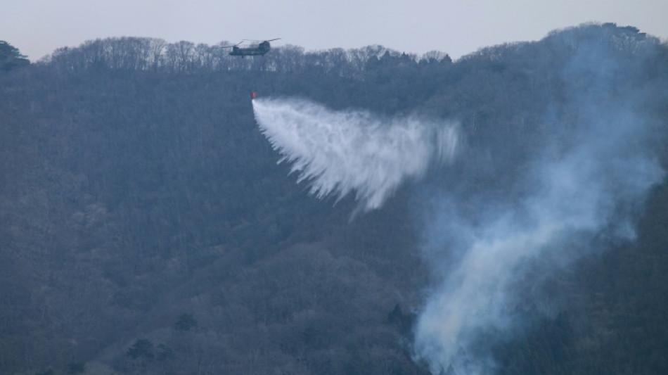 Le Japon déploie plus de 2.000 pompiers pour lutter contre d'importants feux de forêts