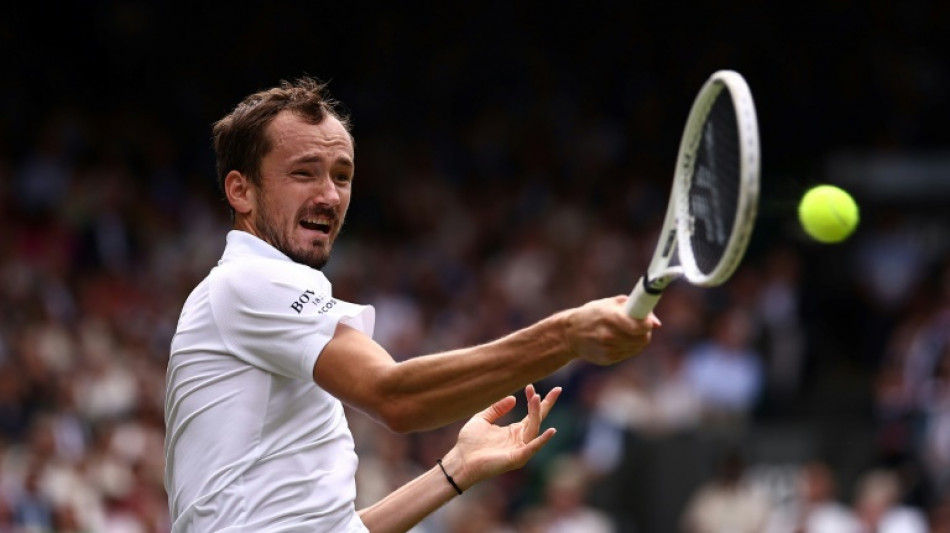 Medvedev called umpire 'small cat' during Wimbledon rant