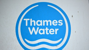 UK court backs £3 bn loan for indebted Thames Water