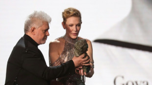 Pedro Almodóvar zieht sich aus Filmprojekt mit Cate Blanchett zurück