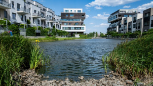 From swamp to sponge: Berlin harnesses rain in climate shift