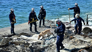 Les chiens soulagent les secouristes des incendies de Los Angeles