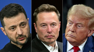 Elon Musk participó en llamada entre Trump y Zelenski, indicó un alto cargo ucraniano