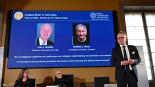 Scientists sound AI alarm after winning physics Nobel