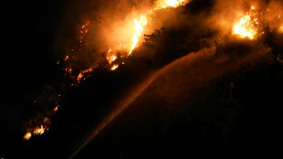Waldbrand nahe der Copacabana