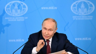Putin: Verwendung von eingefrorenem russischen Vermögen ist "Diebstahl"