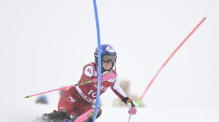 Cdm: austriaca Truppe vince lo slalom di Aare, Rossetti ottava