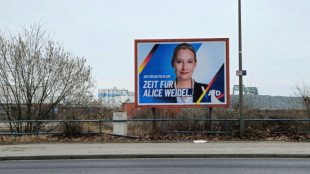 Weidel entschieden gegen Bundeswehrsoldaten zu Absicherung in der Ukraine