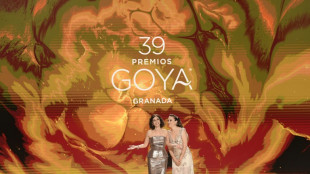 'Ainda estou aqui' conquista prêmio Goya na Espanha