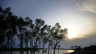 Bangladesh bans plastics in world's largest mangrove forest