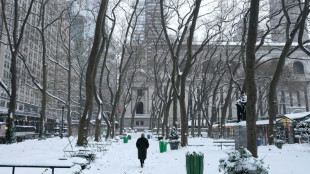 Quand donc tombera la neige, se demandent les New-Yorkais