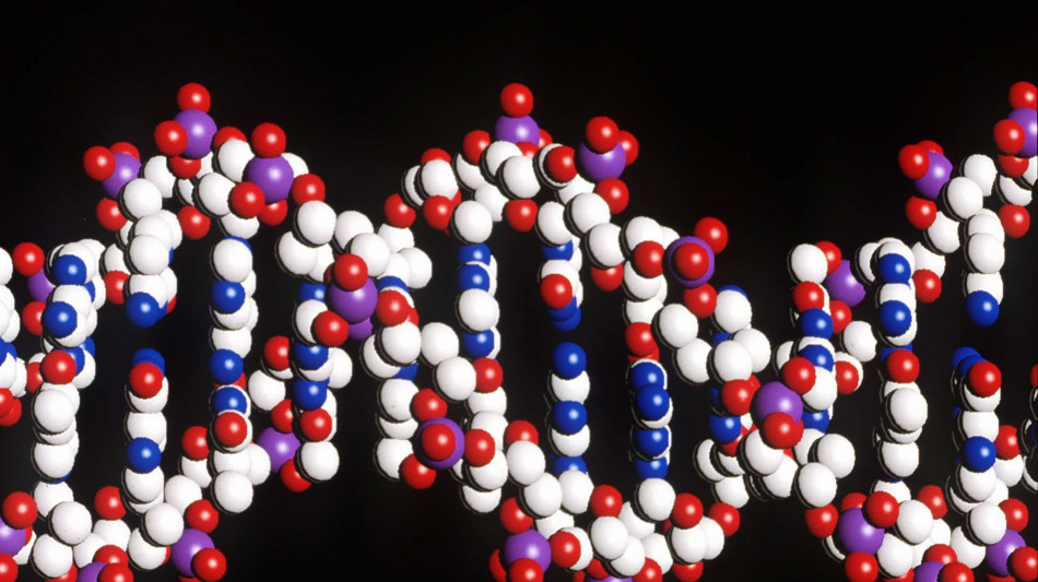 Trovate 113 nuove regioni di Dna per la pressione sanguigna