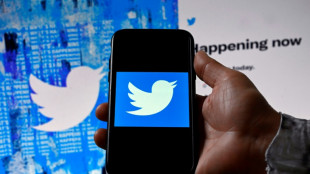 US jury to decide if Twitter worker spied for Saudi royals