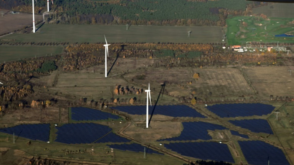 Branchenverband kritisiert langsamen Ausbau von Windenergie an Land