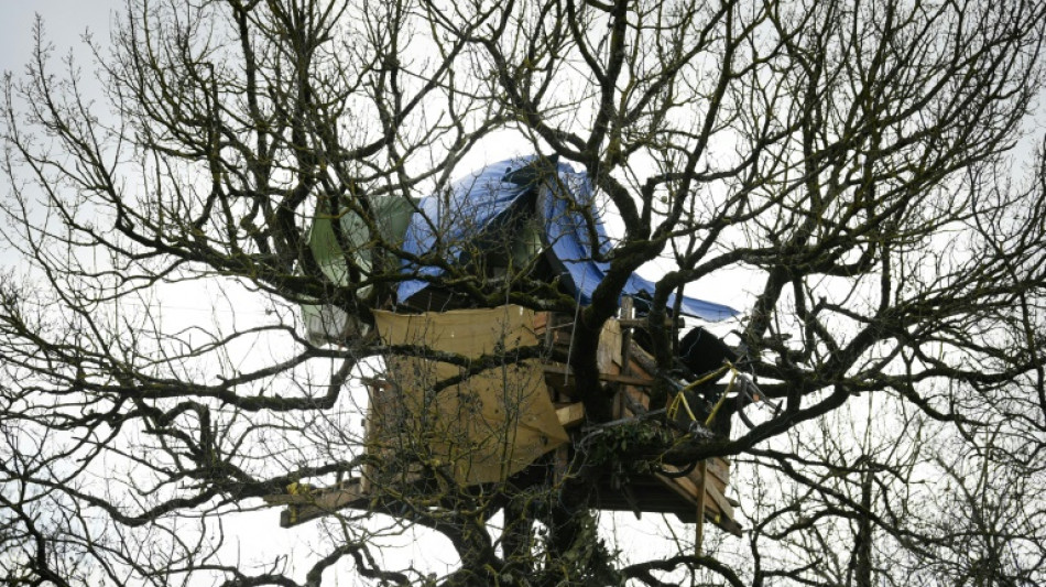 "Déterminés à rester", les zadistes de l'A69 tiennent leur campement