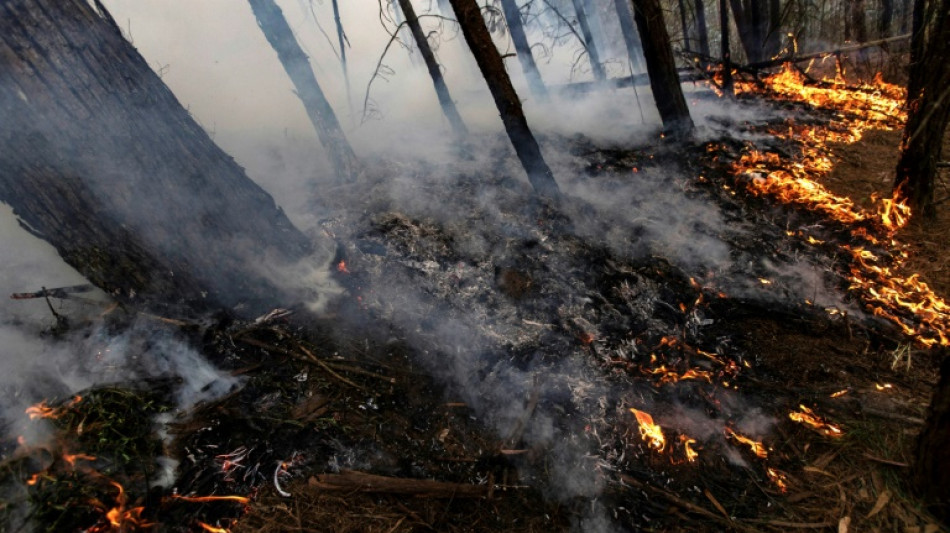 Colombie: plus de 9.000 hectares brûlés par les feux de forêt