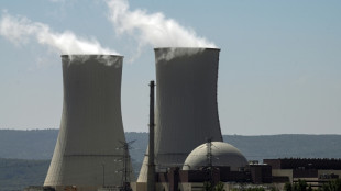 Spain under pressure to abort nuclear energy phase-out