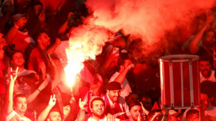 "Unerträglich": Grünen-Politiker von Notz kritisiert Wolfsgruß bei Türkei-Spiel