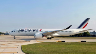 Air France suspende por precaución el sobrevuelo de una zona del mar Rojo