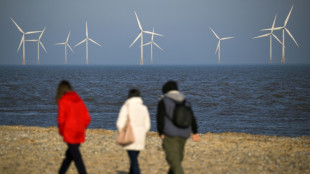 No offshore wind in latest UK green energy auction