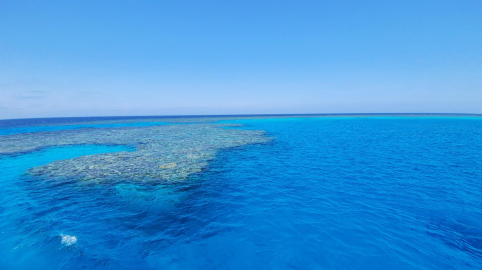 Naufraga yacht di turisti nel Mar Rosso, si cercano dispersi