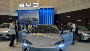 Auto-Experte Dudenhöfer warnt vor EU-Zöllen auf chinesische E-Autos