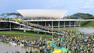 Disinformation fueled rage in Brazil over vote outcome