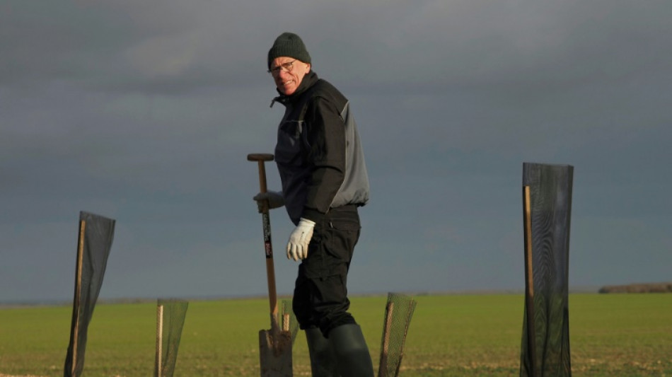 De l'encyclique du pape aux carottes, un curé devenu maraîcher en France