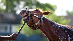 Kentucky Derby winner Rich Strike aims to strike again in Belmont