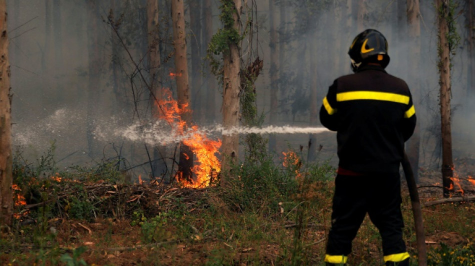 Vague de chaleur au Chili: les incendies menacent d'autres régions