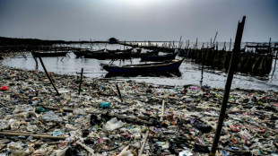 Une ONG appelle à un "changement de paradigme" sur les risques du plastique sur la santé humaine