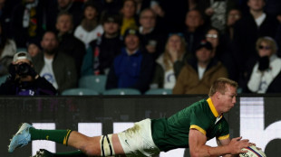 Springbok Du Toit named World Player of the Year for second time