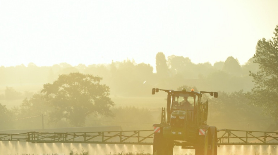 Glyphosate dans l'UE: pas d'accord sur une réautorisation, nouveau vote en novembre