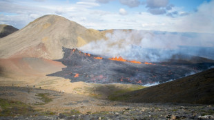 Gases from Iceland's volcano threaten nearby village