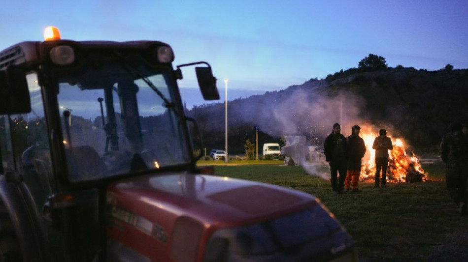 Mobilisation agricole: un site de Danone bloqué dans le Gers