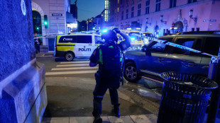 Two killed in Norway 'terror' shooting