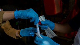 Vogelgrippe: UNO warnt vor "alarmierender" Situation im Asien-Pazifik-Raum