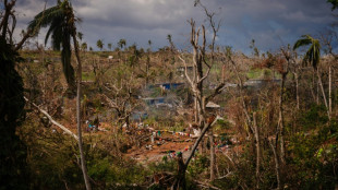 Mayotte faces environment, biodiversity crisis after cyclone