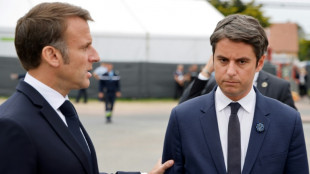 French PM: surprised campaign leader in Macron's 'sudden' poll gambit